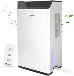 Transforming Spaces: Our Experience with the Vellgoo Dehumidifier