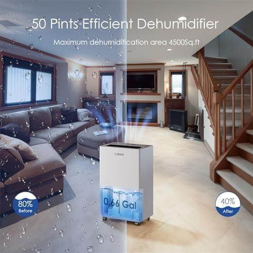 Transforming Our Basement: The LUBAIR‍ Dehumidifier Review